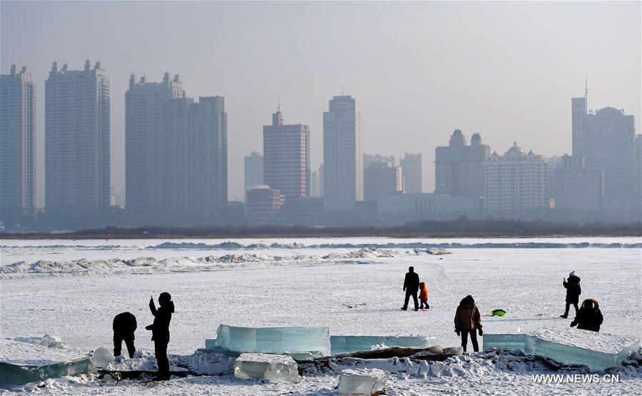 CHINA-HARBIN-ICE CUBE (CN)