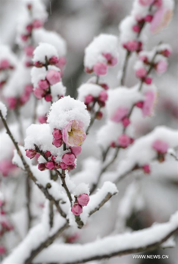 #CHINA-JIANGSU-SNOWFALL(CN)