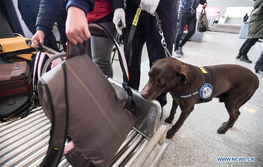 CHINA-CHENGDU-SPRING FESTIVAL-TRAVEL RUSH-POLICE DOG (CN)