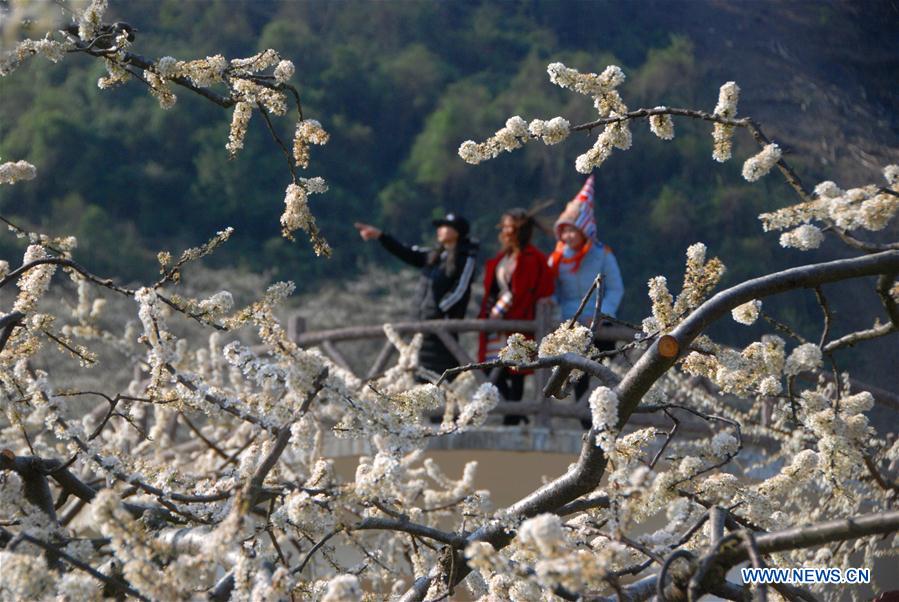 #CHINA-SPRING SCENERY-BLOSSOMS(CN)