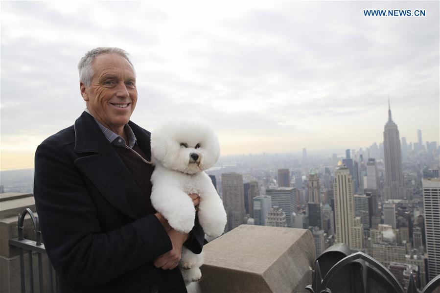 U.S.-NEW YORK-ROCKEFELLER CENTER-WESTMINSTER KENNEL CLUB DOG SHOW-FLYNN-BEST IN SHOW