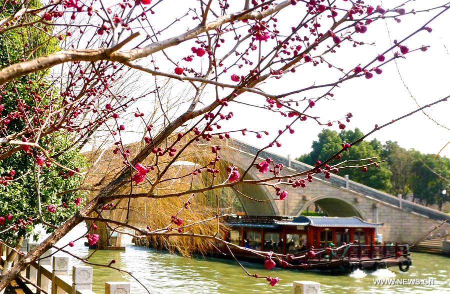 #CHINA-BEGINNING OF SPRING-FLOWER(CN)