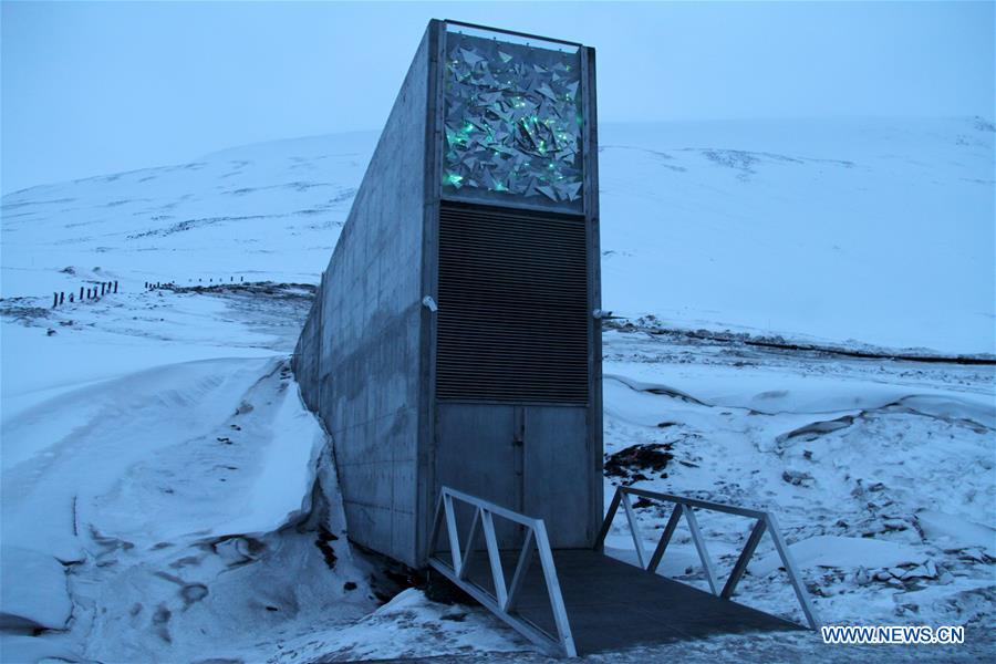 NORWAY-LONGYEARBYEN-SEED SAMPLES