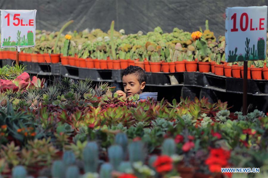 EGYPT-GIZA-SPRING FLOWER EXHIBITION