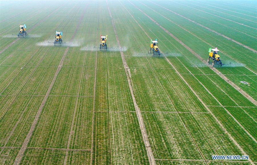 CHINA-SPRING-FARM WORK (CN)