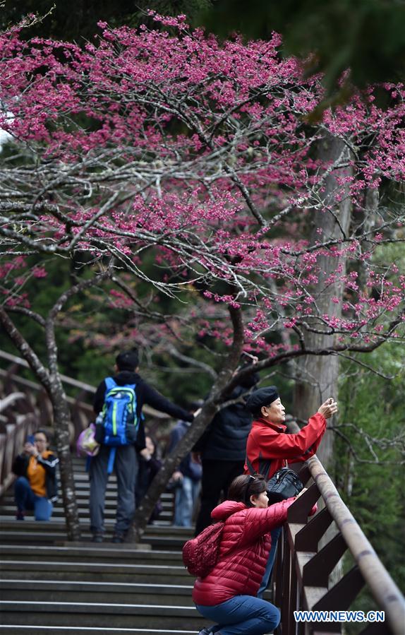 CHINA-ALI MOUNTAIN-SCENERY(CN) 