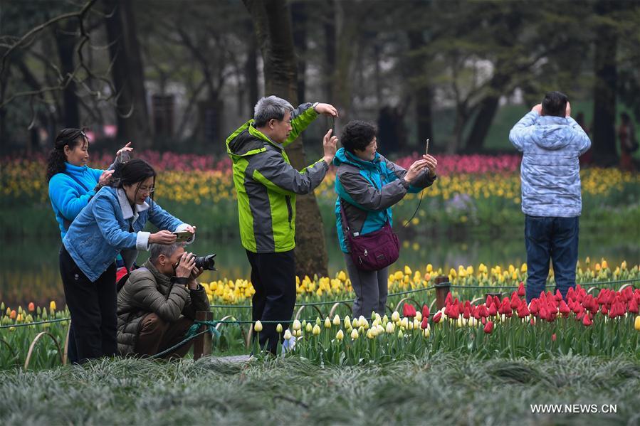 CHINA-HANGZHOU-FLOWERS (CN)