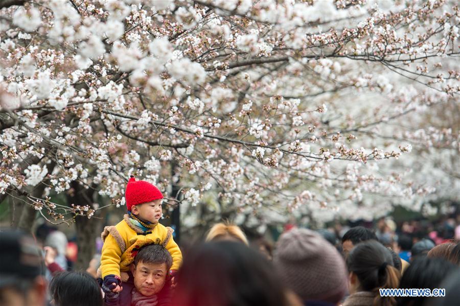 CHINA-NANJING-SPRING VIEWS (CN)