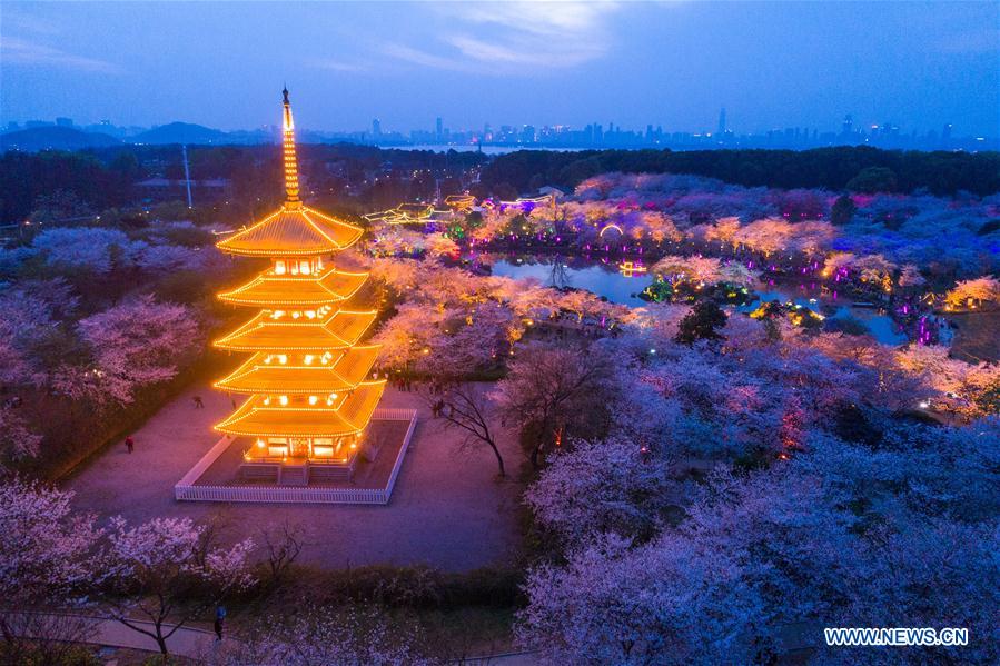 CHINA-WUHAN-CHERRY BLOSSOMS (CN)