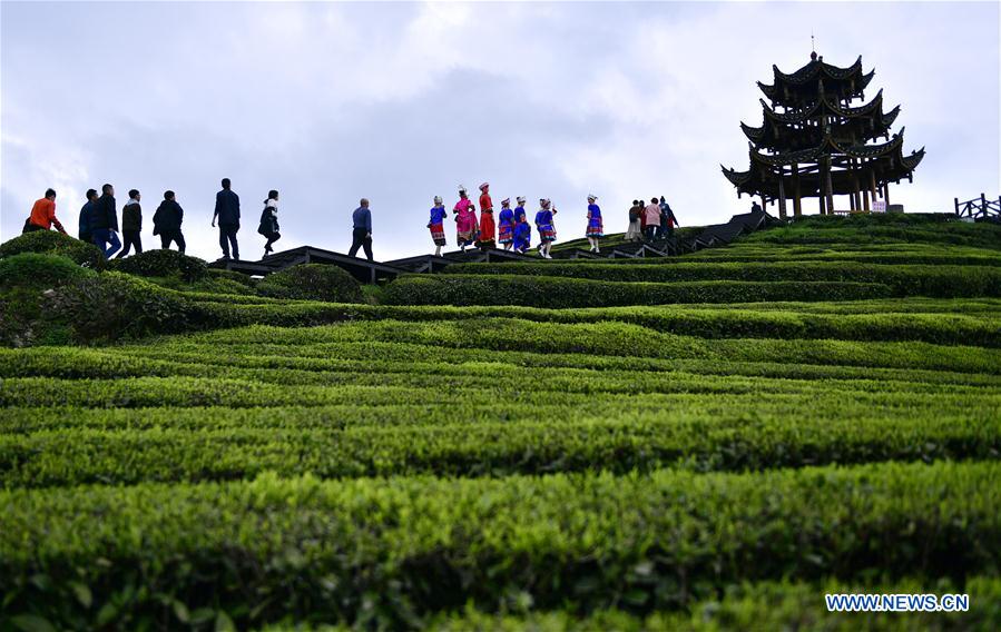 #CHINA-HUBEI-XUAN'EN-TEA (CN)