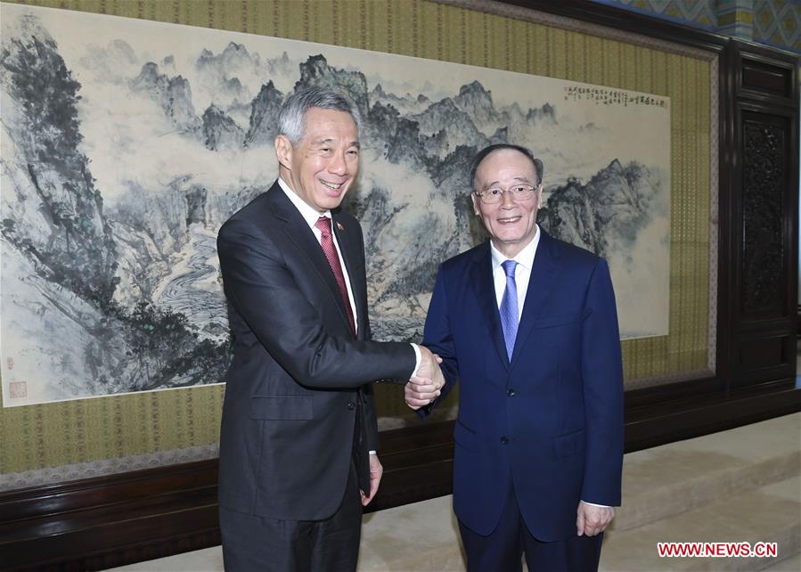 CHINA-BEIJING-WANG QISHAN-SINGAPOREAN PM-MEETING (CN)