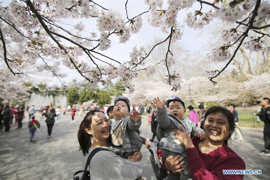 #CHINA-SPRING VIEWS (CN)