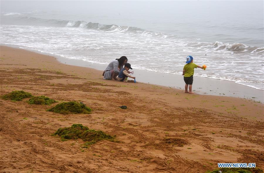 CHINA-QINGDAO-ENTEROMORPHA-CLEAN (CN)