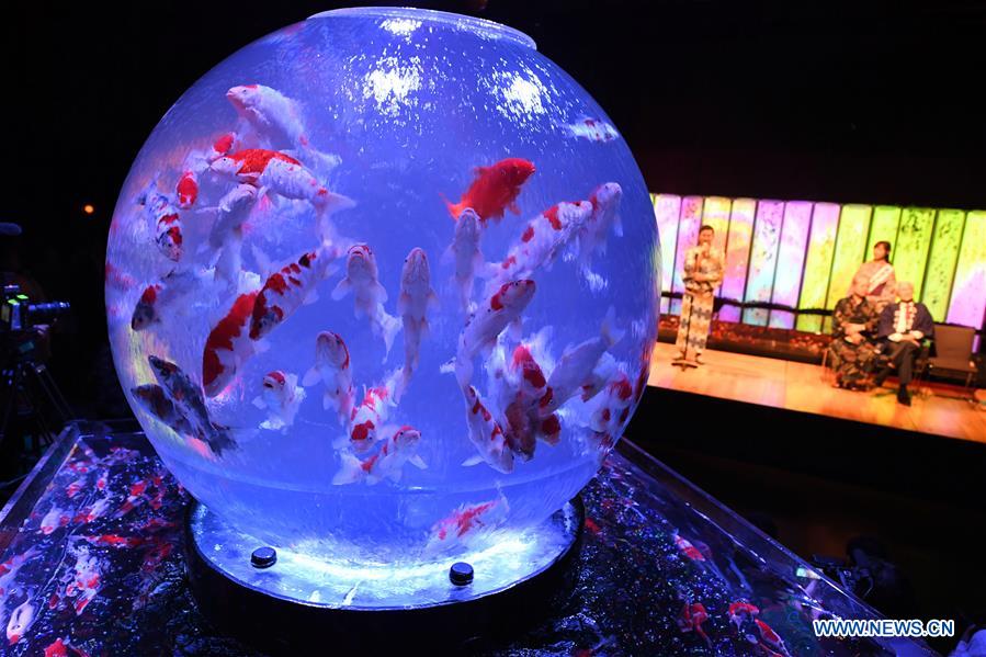 JAPAN-TOKYO-ART AQUARIUM-EXHIBITION