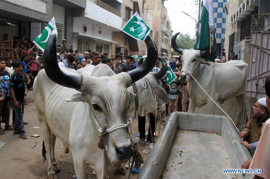 PAKISTAN-KARACHI-EID AL-ADHA-PREPARATION