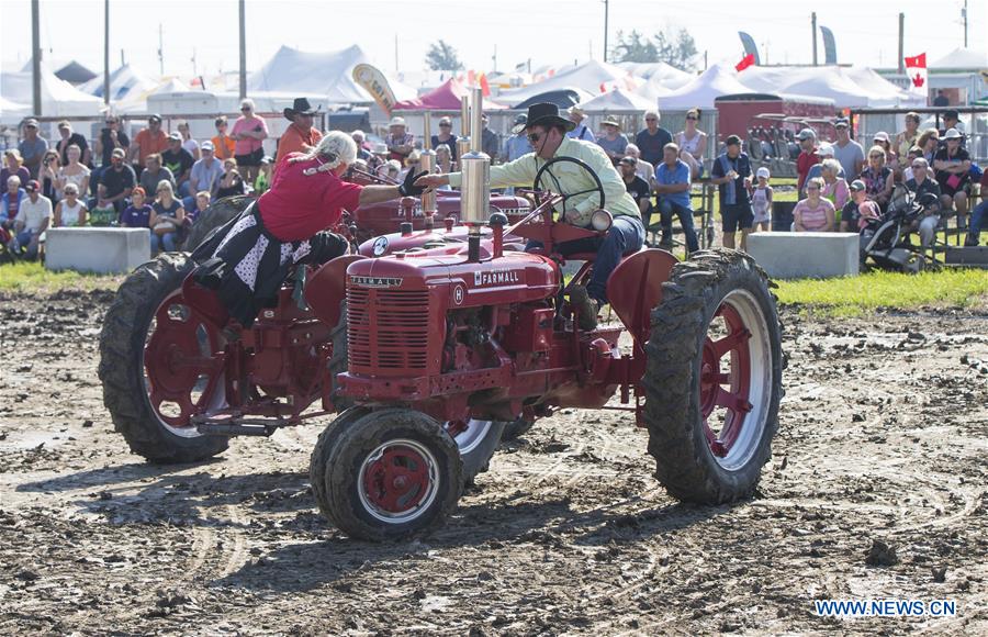 CANADA-ONTARIO-CHATHAM KENT-IPM-DANCING TRACTORS