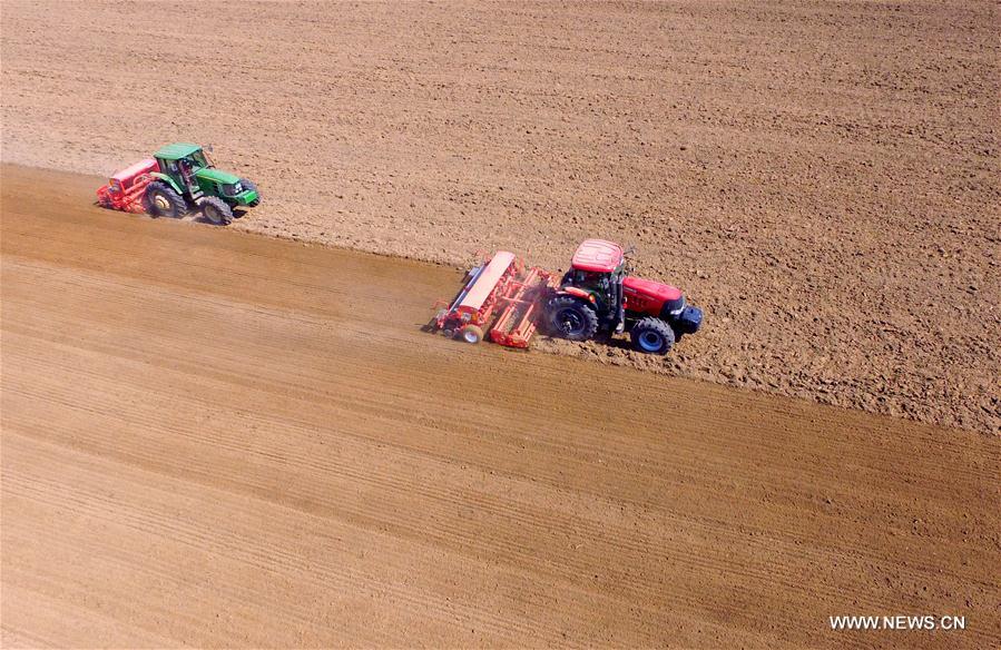 CHINA-HEBEI-XINGTAI-FARM WORK (CN)