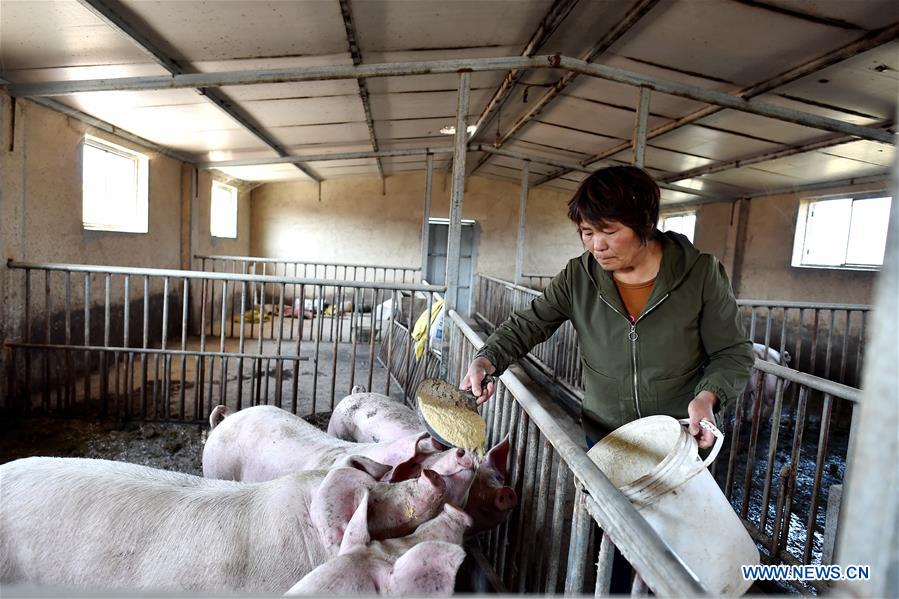 CHINA-SHANXI-POVERTY ALLEVIATION (CN)