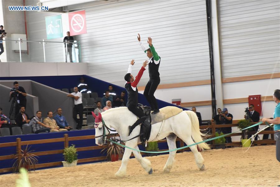 MOROCCO-EL JADIDA-HORSE EXHIBITION