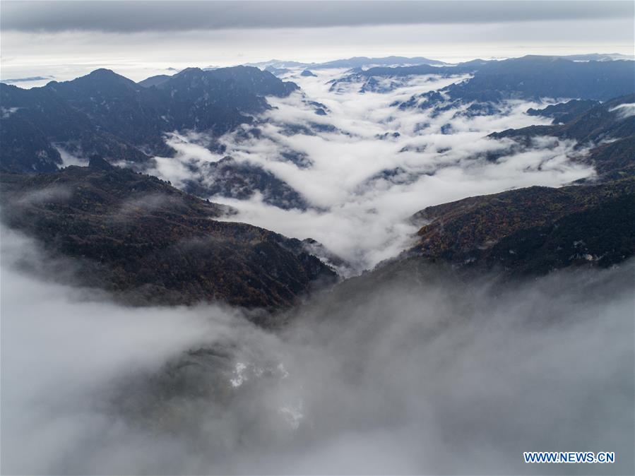 CHINA-HUBEI-SHENNONGJIA-SCENERY (CN)