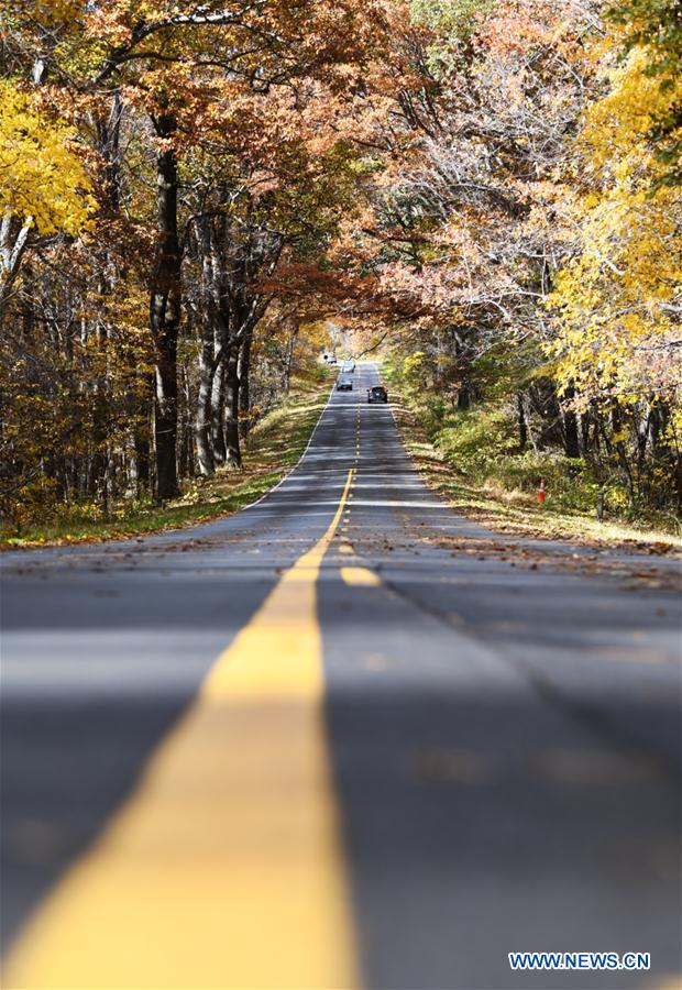 U.S.-VIRGINIA-SHENANDOAH NATIONAL PARK-AUTUMN VIEWS