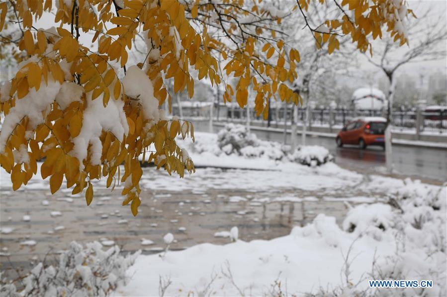 #CHINA-GANSU-SNOWFALL(CN)