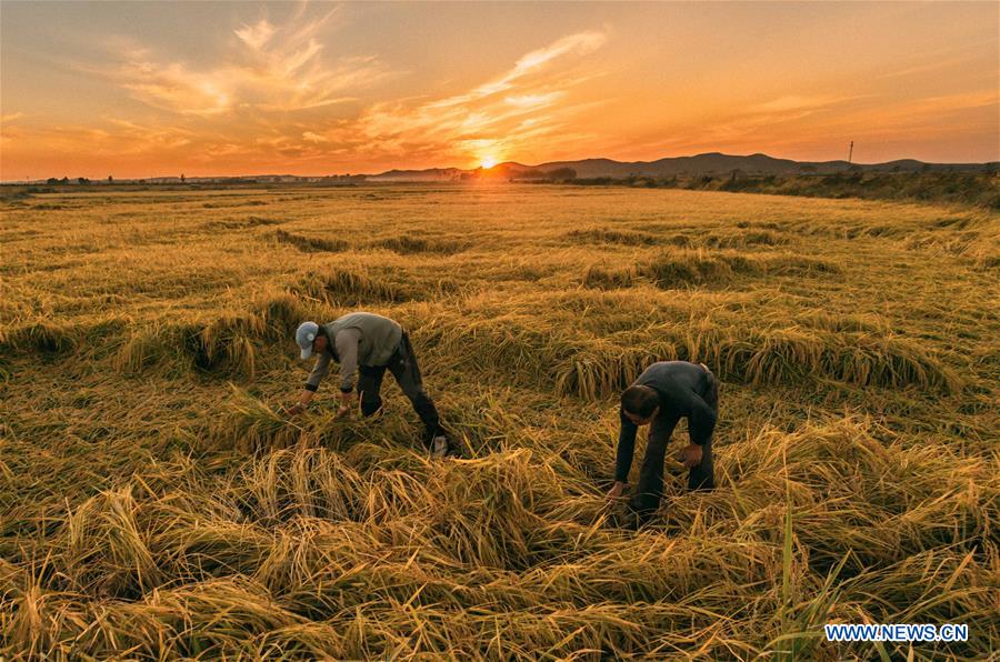 XINHUA-PICTURES OF THE YEAR 2018