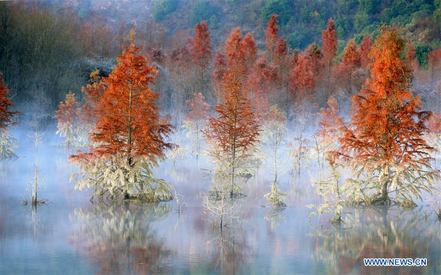 CHINA-YUNNAN-KUNMING-WETLAND (CN)