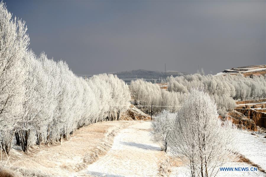 #CHINA-GANSU-DINGXI-RIME (CN)