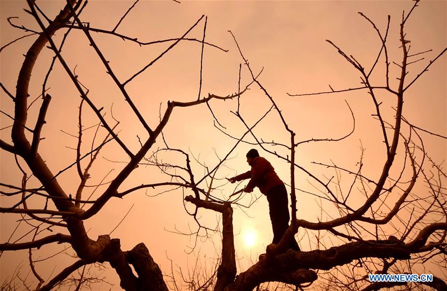 #CHINA-EARLY SPRING-FARMWORK (CN)