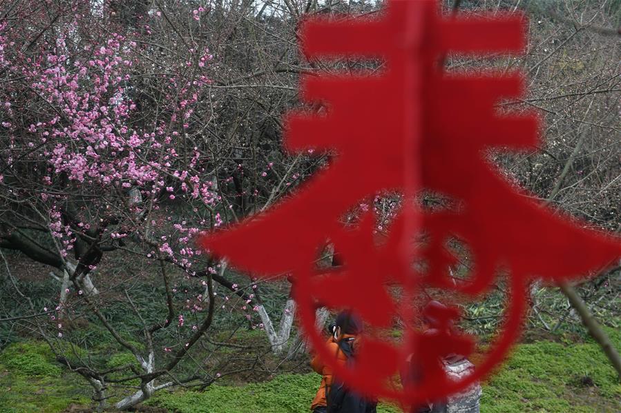 CHINA-HEFEI-PLUM BLOSSOM (CN)