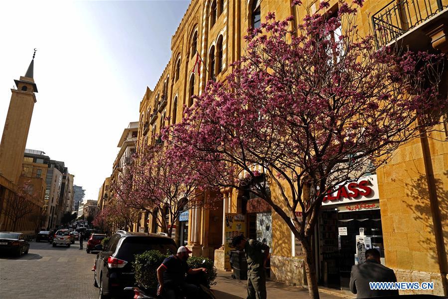 LEBANON-BEIRUT-SPRING-FLOWERS