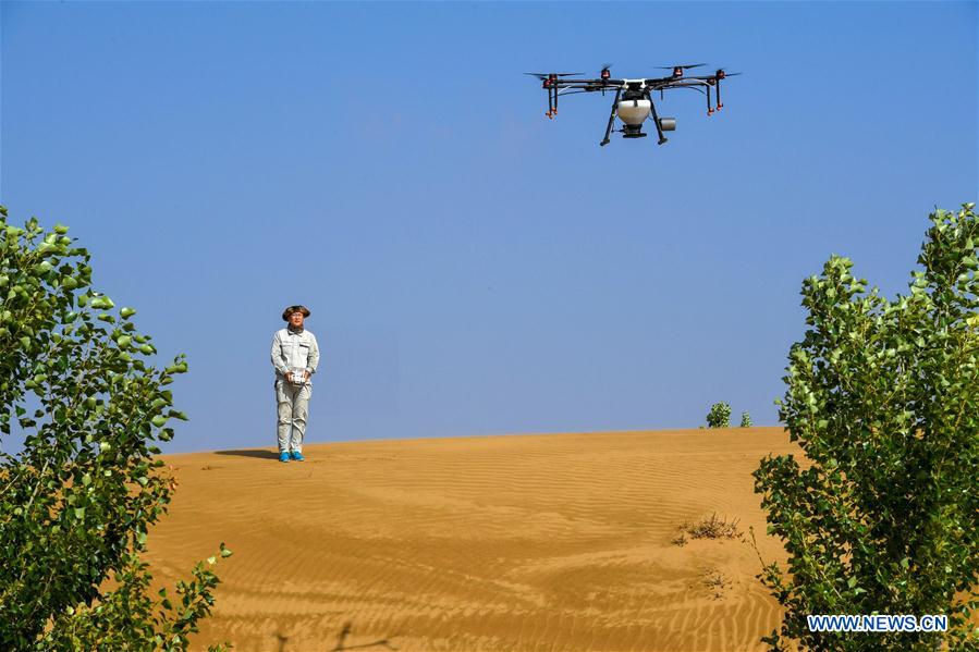 CHINA-REFORESTATION EFFORTS-WORLD LEADING (CN)