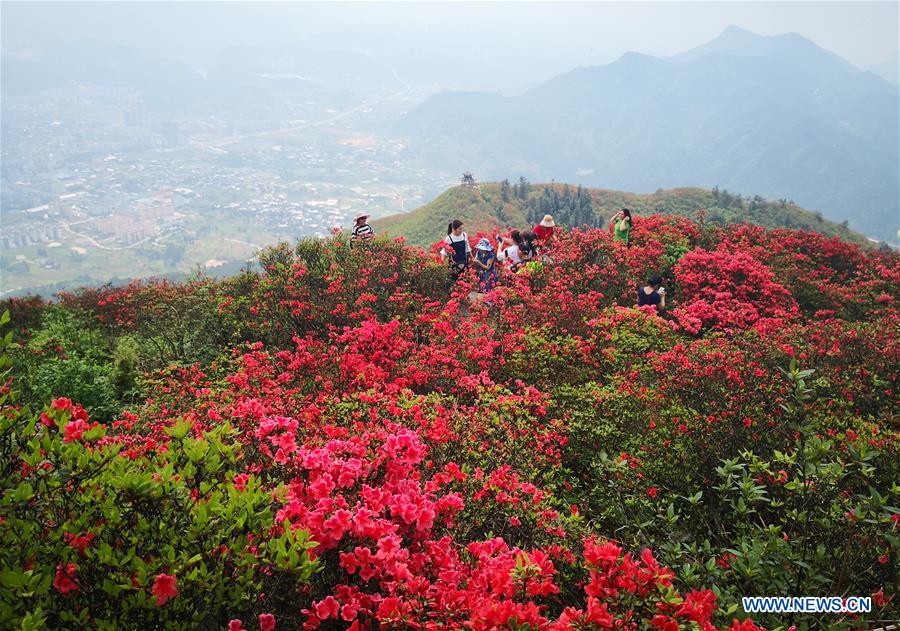 CHINA-GUIZHOU-DANZHAI-SCENERY