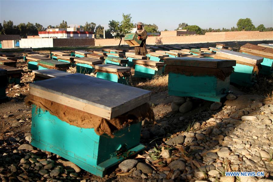 AFGHANISTAN-NANGARHAR-BEE FARM