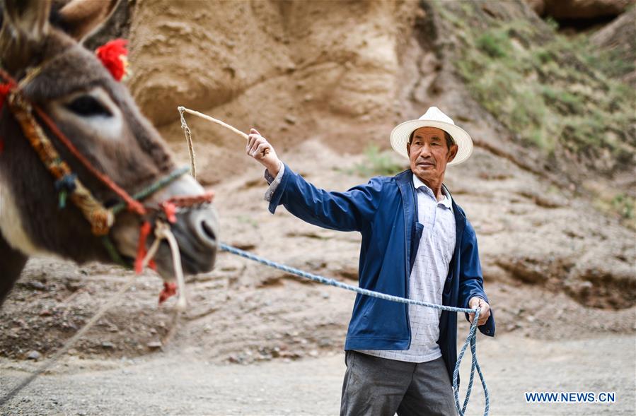 CHINA-GANSU-JINGTAI-DONKEY RIDE-BUSINESS (CN)