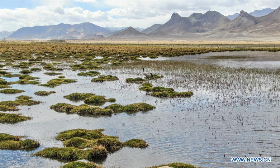 (InTibet)CHINA-TIBET-ECOLOGICAL PROTECTION (CN)