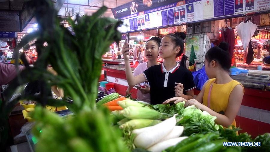 CHINA-GUANGXI-QINZHOU-YOUNG BALLET DANCER-VACATION (CN)