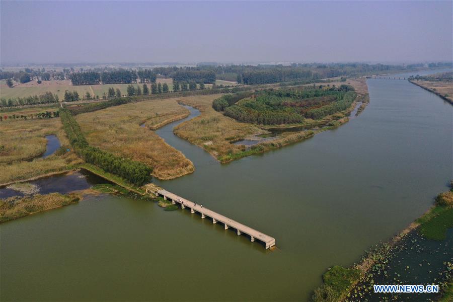 CHINA-JIANGSU-SUINING-WETLAND (CN)