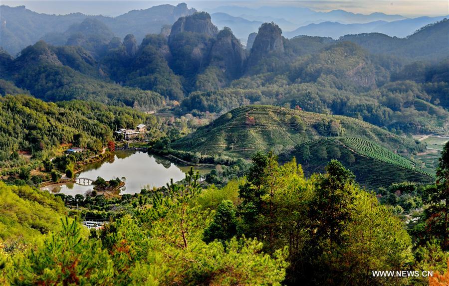 CHINA-FUJIAN-WUYI MOUNTAIN-SCENERY (CN)