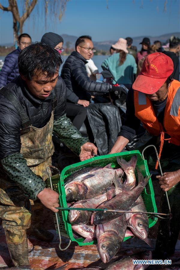 CHINA-YUNNAN-XINGYUN LAKE-FISH SEASON-START (CN)