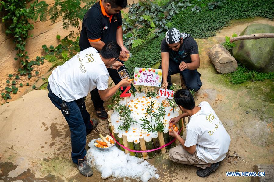 MALAYSIA-KUALA LUMPUR-GIANT PANDA-BIRTHDAY