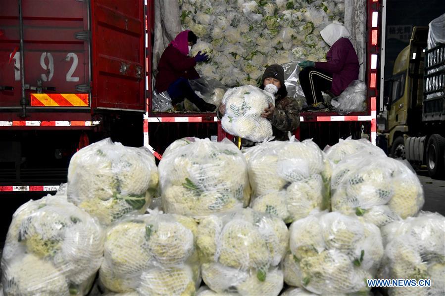 CHINA-SHANDONG-SHOUGUANG-VEGETABLE SUPPLY (CN)