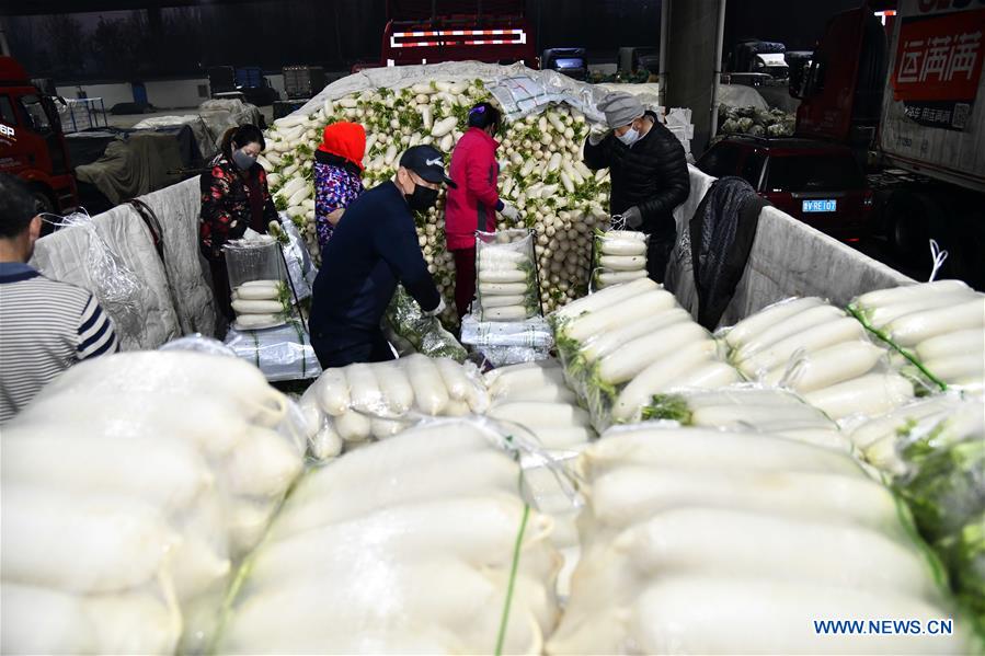 CHINA-SHANDONG-SHOUGUANG-VEGETABLE SUPPLY (CN)