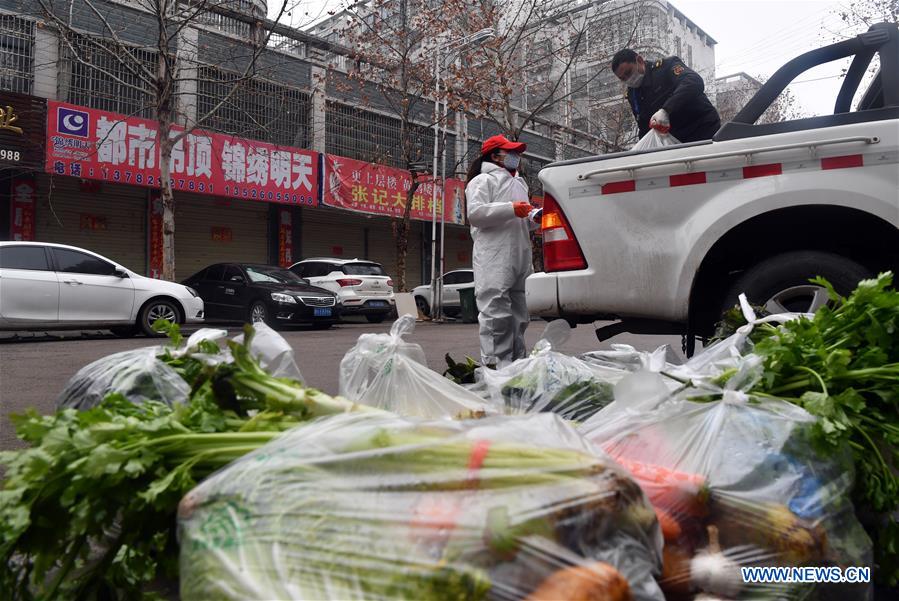 CHINA-HENAN-XINYANG-VEGETABLE SUPPLY (CN)