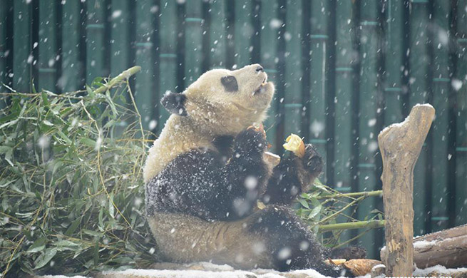 Xinhua photos of the day