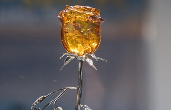 "Amber Trip" exhibition kicks off in Vilnius, Lithuania