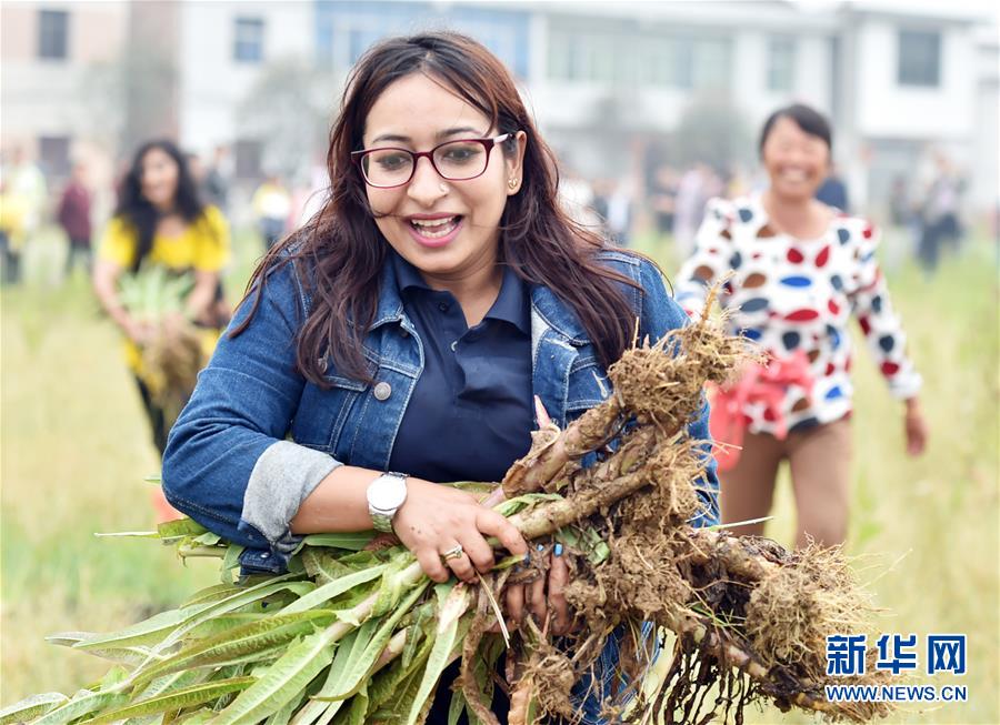 #（社会）（3）江西宜春：留学生体验中国新农村