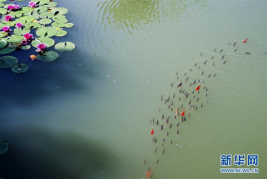 （美丽中国）（5）特色小镇风光美