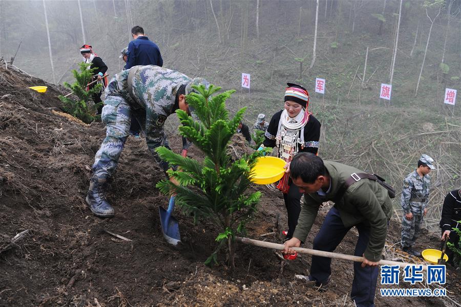 （图文互动）（6）和平年代，离死神最近的人——南部战区陆军云南扫雷大队边境扫雷排爆记事